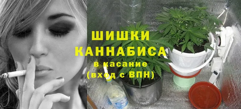 Марихуана White Widow  Кызыл 